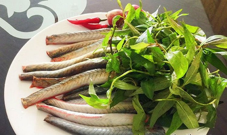 Các nguyên liệu đầy dĩnh dưỡng của món cá kèo kho rau răm