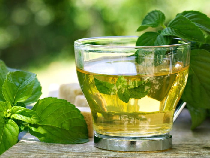 Cách pha trà húng quế - Uống trà húng quế có tác dụng gì cho sức khỏe?